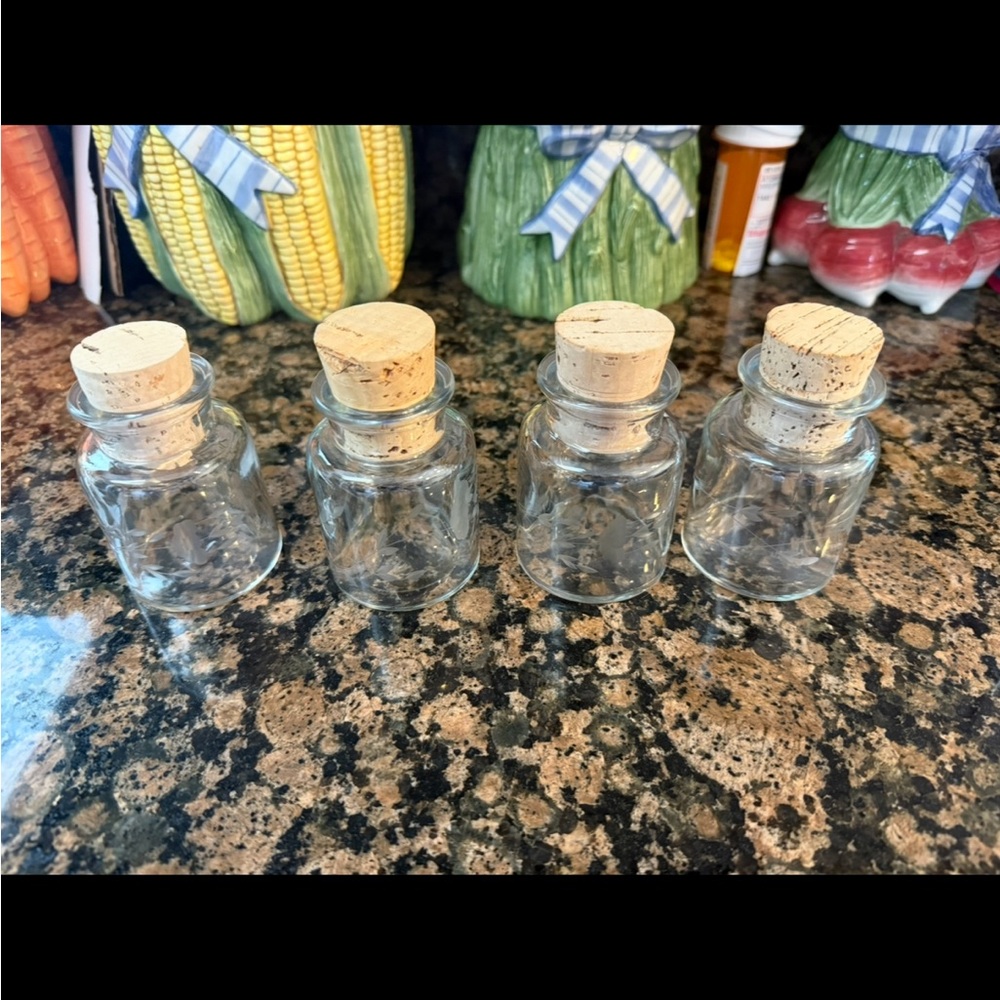 🆕 Princess house spice jars with cork stopper. A set of 4